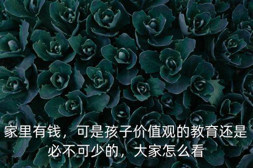 家里有錢，可是孩子價值觀的教育還是必不可少的，大家怎么看