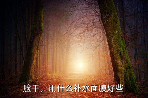 臉干，用什么補(bǔ)水面膜好些