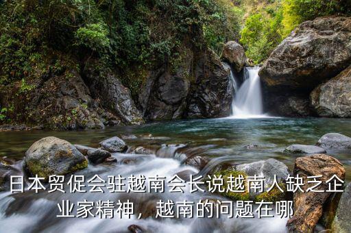 日本貿(mào)促會駐越南會長說越南人缺乏企業(yè)家精神，越南的問題在哪