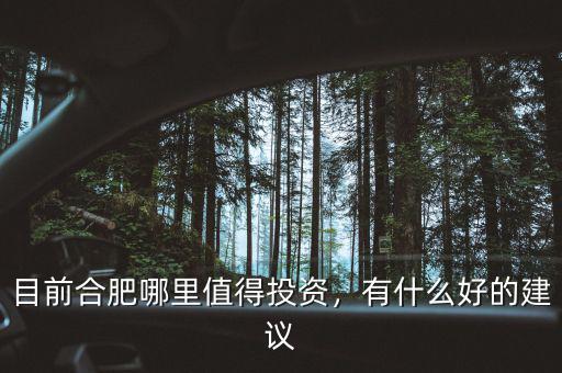 目前合肥哪里值得投資，有什么好的建議