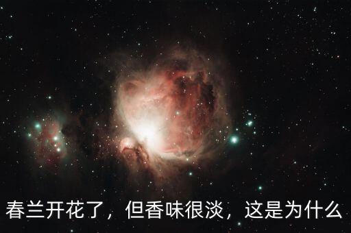 春蘭為什么落后了,春蘭花開(kāi)了為什么不香
