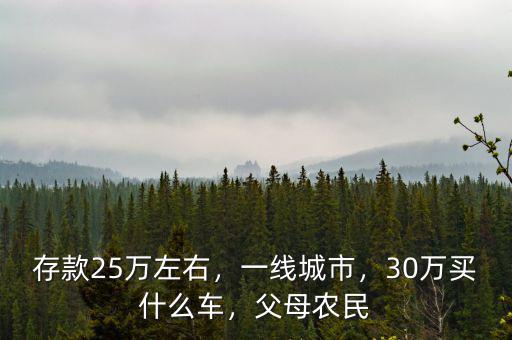 存款25萬(wàn)左右，一線城市，30萬(wàn)買(mǎi)什么車，父母農(nóng)民