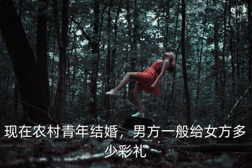 現(xiàn)在結(jié)婚男方給女方多少財(cái)理錢,男方給女方多少彩禮才合適