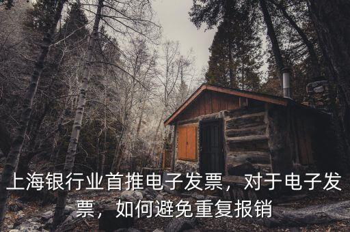 上海銀行業(yè)首推電子發(fā)票，對于電子發(fā)票，如何避免重復報銷
