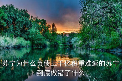 蘇寧轉(zhuǎn)型什么,蘇寧為什么負債三千億