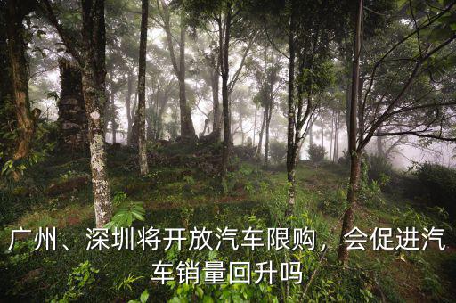 廣州、深圳將開放汽車限購，會(huì)促進(jìn)汽車銷量回升嗎