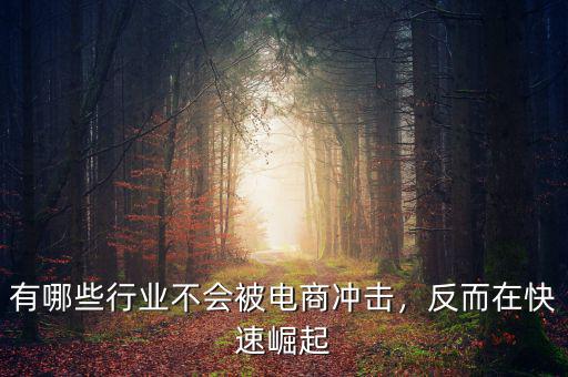 有哪些行業(yè)不會(huì)被電商沖擊，反而在快速崛起