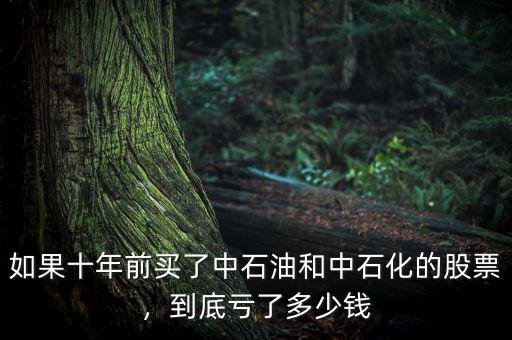 如果十年前買了中石油和中石化的股票，到底虧了多少錢