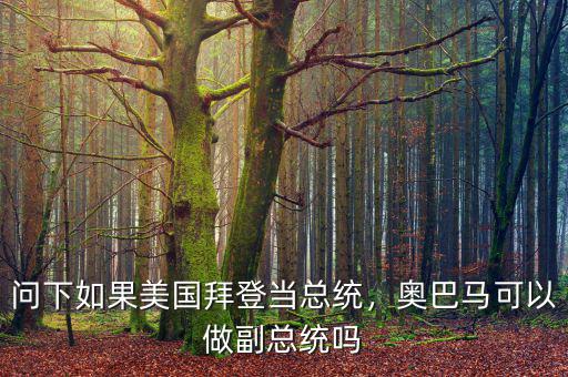 問下如果美國拜登當總統(tǒng)，奧巴馬可以做副總統(tǒng)嗎