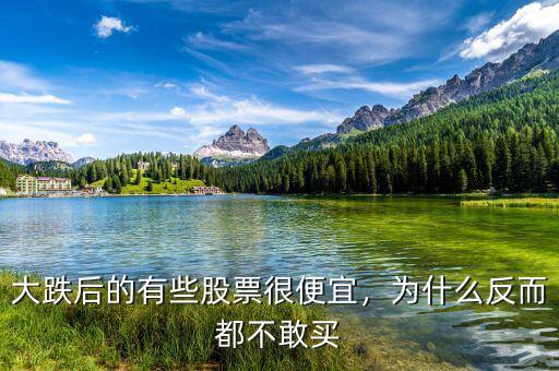 大跌后的有些股票很便宜，為什么反而都不敢買(mǎi)