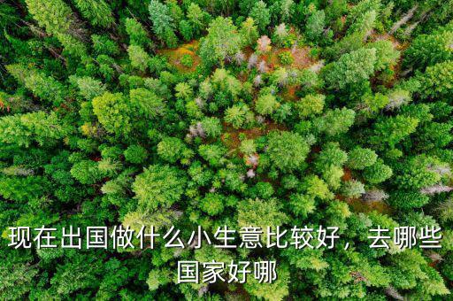 現(xiàn)在出國做什么小生意比較好，去哪些國家好哪