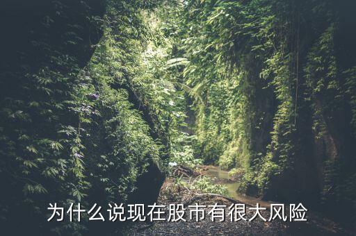 為什么說現(xiàn)在股市有很大風(fēng)險(xiǎn)