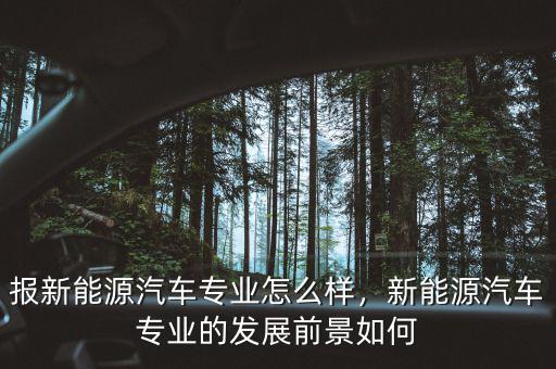 報(bào)新能源汽車專業(yè)怎么樣，新能源汽車專業(yè)的發(fā)展前景如何