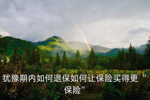 猶豫期退保險怎么退,猶豫期內如何退保