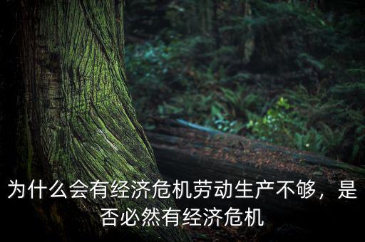 為什么會有經(jīng)濟危機勞動生產(chǎn)不夠，是否必然有經(jīng)濟危機