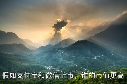 假如支付寶和微信上市，誰(shuí)的市值更高