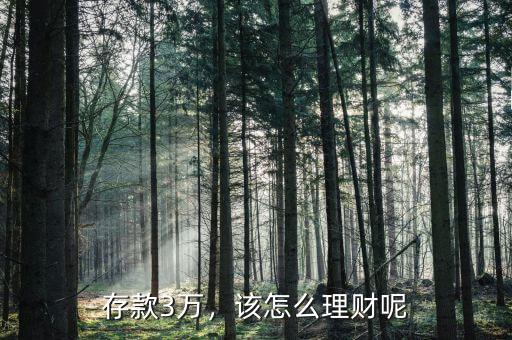 存款3萬(wàn)，該怎么理財(cái)呢