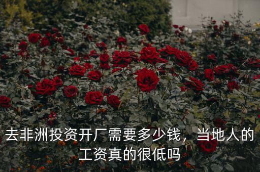 去非洲投資開(kāi)廠需要多少錢(qián)，當(dāng)?shù)厝说墓べY真的很低嗎