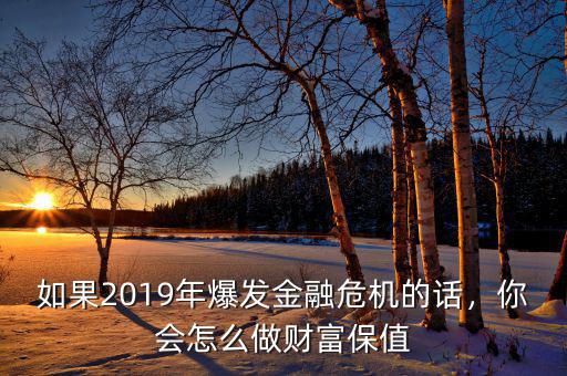 如果2019年爆發(fā)金融危機的話，你會怎么做財富保值