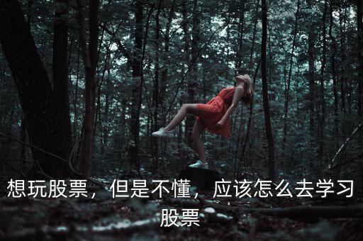 怎么才可以玩股市,應該怎么操作