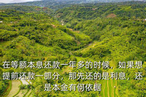 在等額本息還款一年多的時(shí)候，如果想提前還款一部分，那先還的是利息，還是本金有何依據(jù)