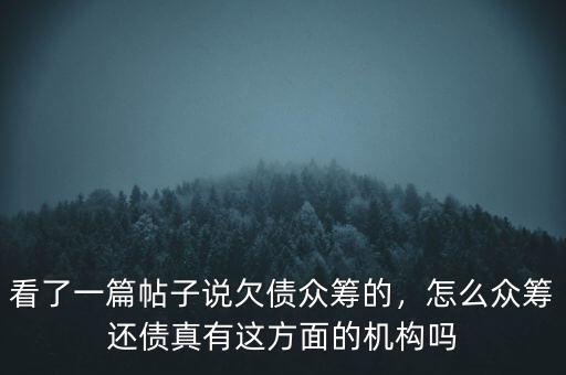 看了一篇帖子說欠債眾籌的，怎么眾籌還債真有這方面的機構(gòu)嗎