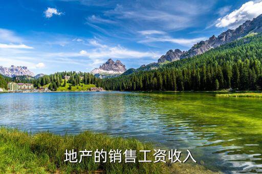 地產(chǎn)的銷(xiāo)售工資收入