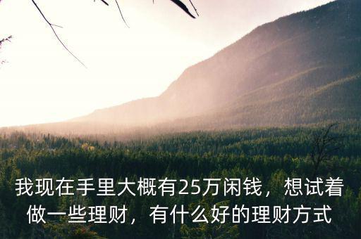 我現(xiàn)在手里大概有25萬(wàn)閑錢(qián)，想試著做一些理財(cái)，有什么好的理財(cái)方式