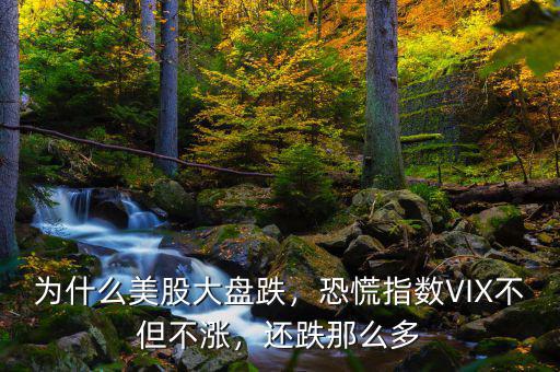 為什么美股大盤跌，恐慌指數(shù)VIX不但不漲，還跌那么多