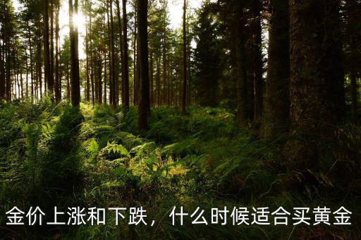 金價上漲和下跌，什么時候適合買黃金