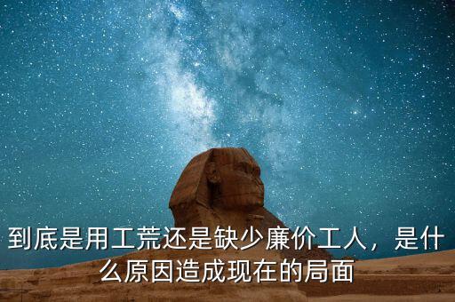 到底是用工荒還是缺少廉價(jià)工人，是什么原因造成現(xiàn)在的局面