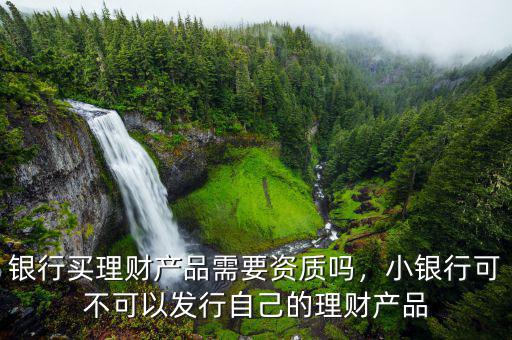 銀行買理財(cái)產(chǎn)品需要資質(zhì)嗎，小銀行可不可以發(fā)行自己的理財(cái)產(chǎn)品
