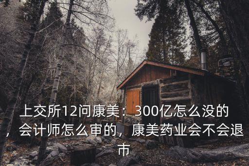 上交所12問康美：300億怎么沒的，會計師怎么審的，康美藥業(yè)會不會退市