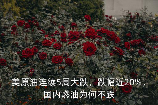 美原油連續(xù)5周大跌，跌幅近20%，國內(nèi)燃油為何不跌