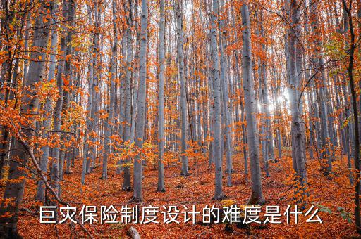 巨災(zāi)保險制度設(shè)計(jì)的難度是什么