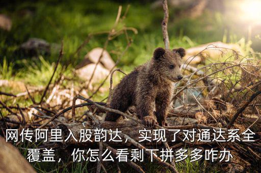 網(wǎng)傳阿里入股韻達(dá)，實(shí)現(xiàn)了對通達(dá)系全覆蓋，你怎么看剩下拼多多咋辦