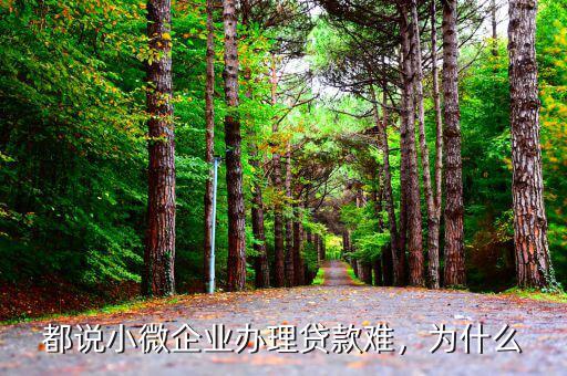都說小微企業(yè)辦理貸款難，為什么