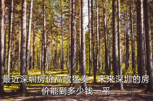 最近深圳房價高歌猛奏，未來深圳的房價能到多少錢一平