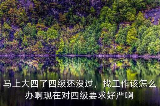 馬上大四了四級(jí)還沒(méi)過(guò)，找工作該怎么辦啊現(xiàn)在對(duì)四級(jí)要求好嚴(yán)啊