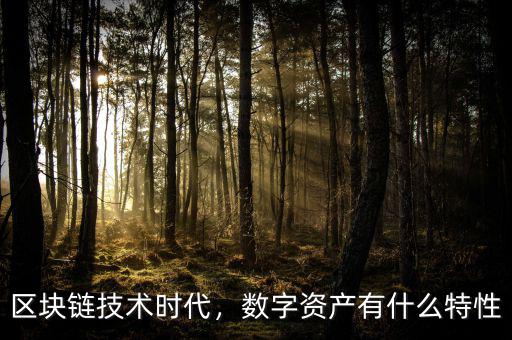 區(qū)塊鏈技術(shù)時(shí)代，數(shù)字資產(chǎn)有什么特性