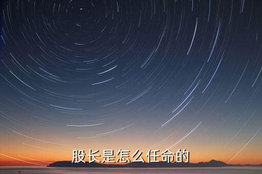 股長(zhǎng)是怎么任命的