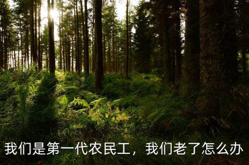 我們是第一代農(nóng)民工，我們老了怎么辦