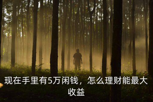 現(xiàn)在手里有5萬閑錢，怎么理財(cái)能最大收益