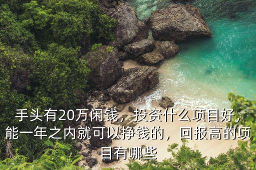 手頭有20萬(wàn)閑錢，投資什么項(xiàng)目好，能一年之內(nèi)就可以掙錢的，回報(bào)高的項(xiàng)目有哪些