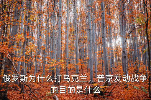 普京為什么這么有錢(qián),俄羅斯為什么打?yàn)蹩颂m