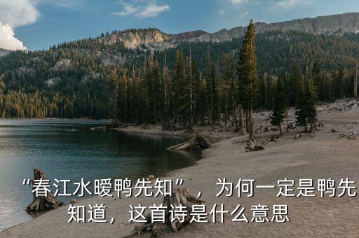 “春江水曖鴨先知”，為何一定是鴨先知道，這首詩是什么意思