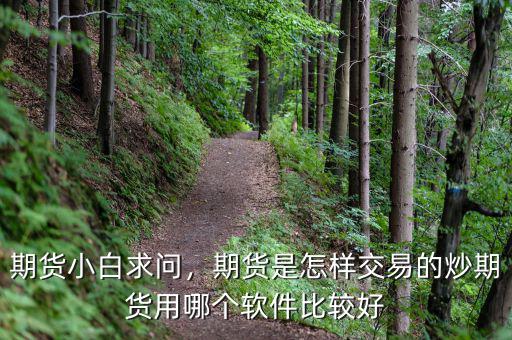 買(mǎi)期貨用什么軟件,做期貨用什么軟件好