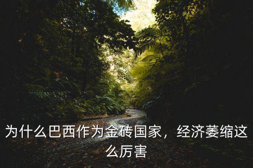 巴西經濟為什么衰退,為什么巴西作為金磚國家