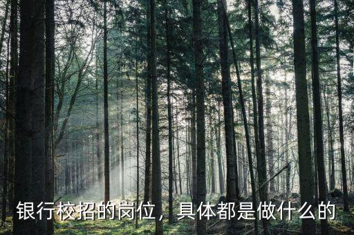 銀行校招的崗位，具體都是做什么的