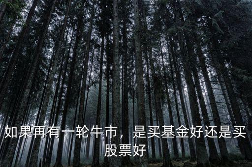 如果再有一輪牛市，是買基金好還是買股票好